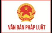 Đối tượng bắt buộc có chứng chỉ hành nghề đấu thầu